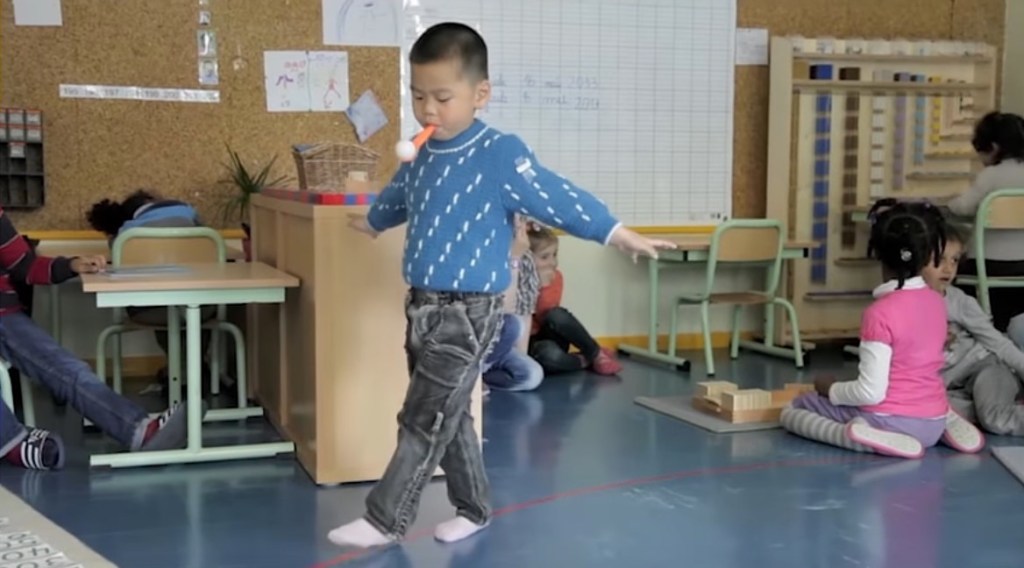 LIEN. Les lois naturelles de l&rsquo;enfant. Éducation et plasticité&nbsp;cérébrale.